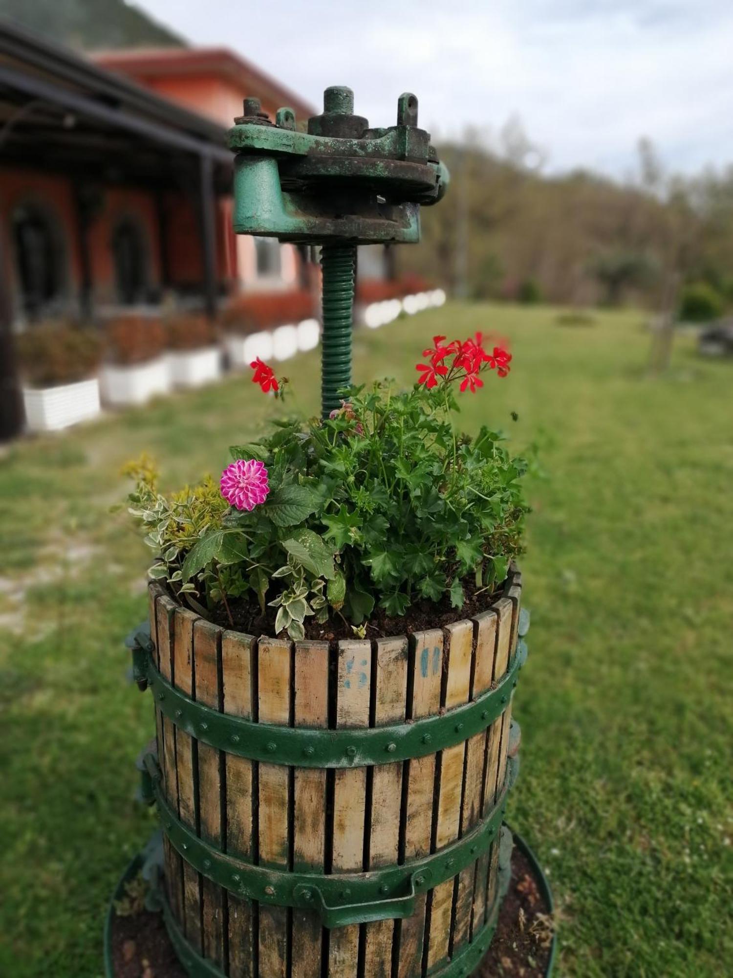 Salisù Country House Mignano Monte Lungo Extérieur photo